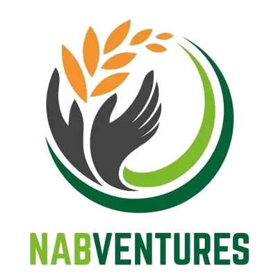 Nabaventure investors of satyukt