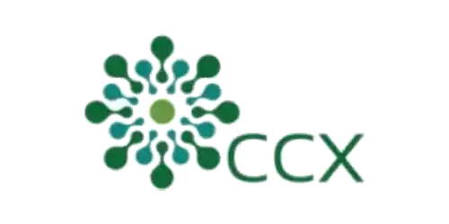 corecarbonx-satyukt Client