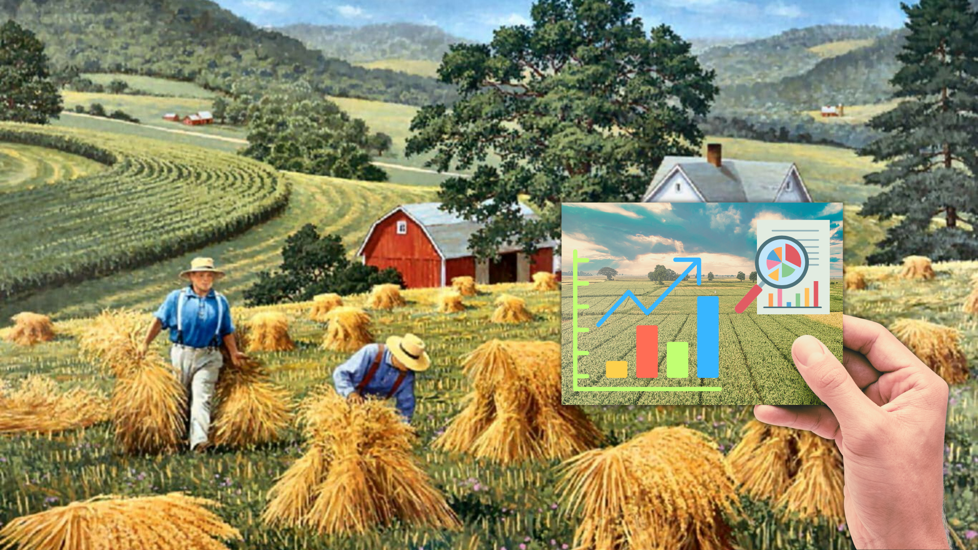 Agri4-images